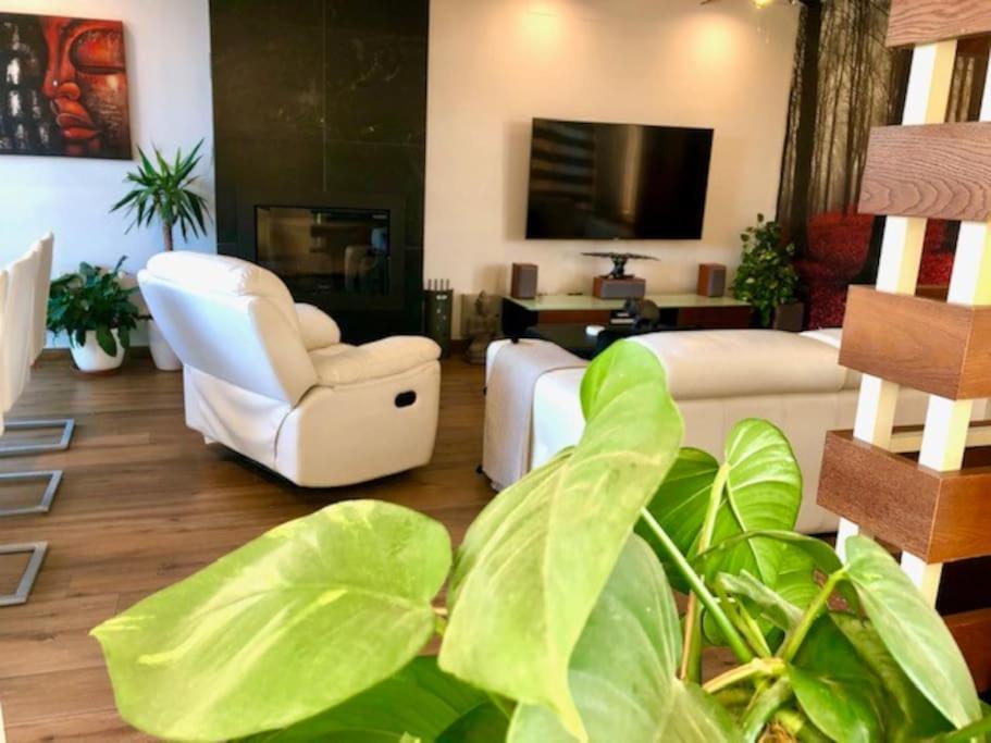 מלון פוארטו ריאל Modern Zen Bali מראה חיצוני תמונה